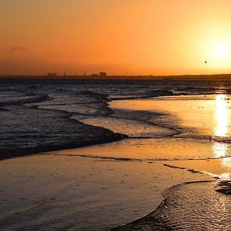 Doppelhaushaelfte Ostseehaus Ii, * 트라센하이드